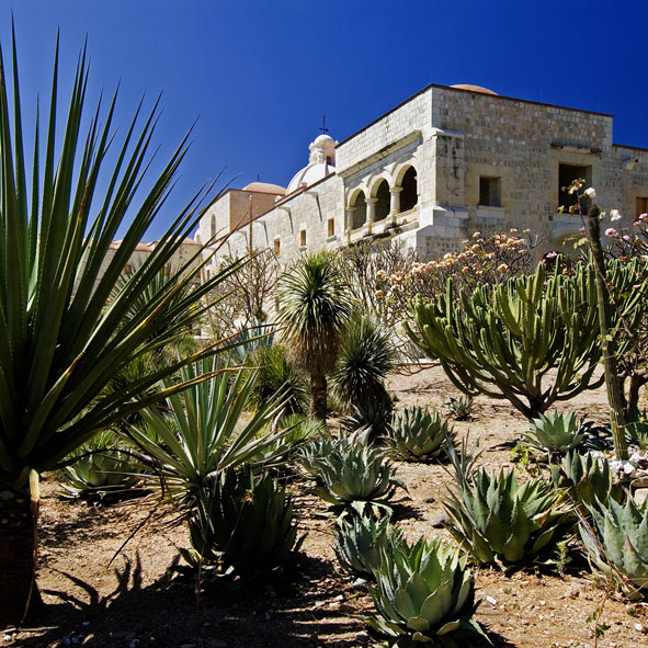 Jardín Etnobotánico